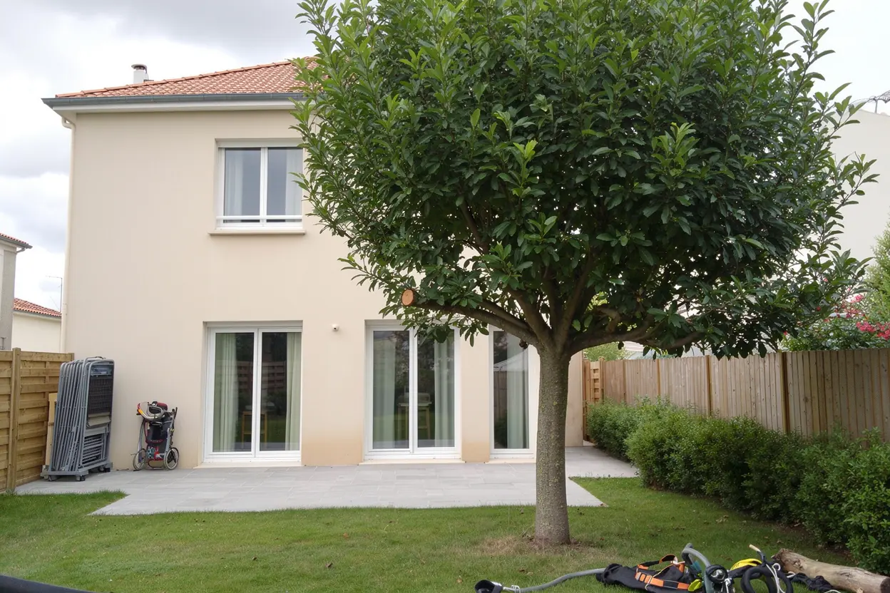 Couronne allégée par grimpeur dans jardin de Puilboreau