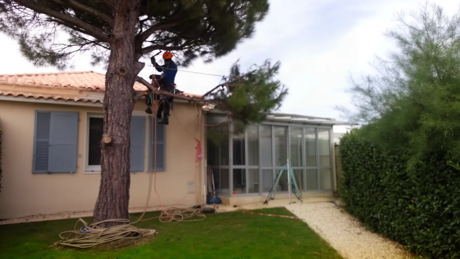 Élagueur professionnel à Châtelaillon-Plage et alentours