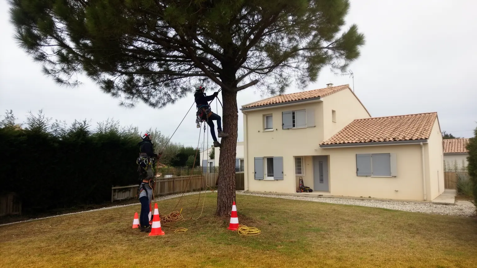 Élagueur professionnel à Nieul-sur-Mer et alentours